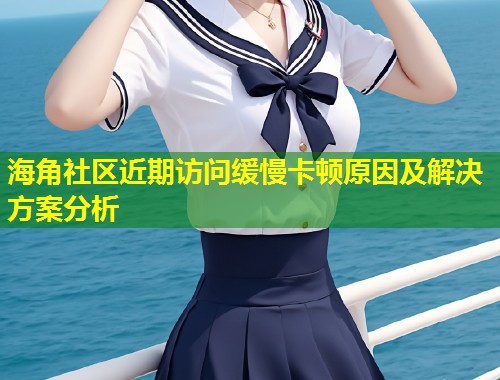 海角社区近期访问缓慢卡顿原因及解决方案分析  第2张