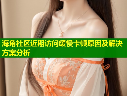 海角社区近期访问缓慢卡顿原因及解决方案分析  第1张