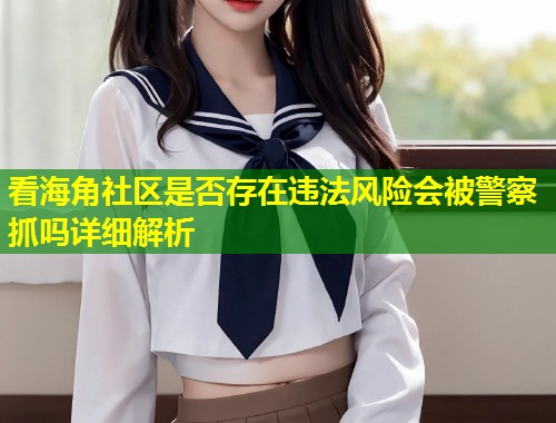 看海角社区是否存在违法风险会被警察抓吗详细解析