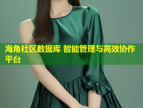 海角社区数据库 智能管理与高效协作平台