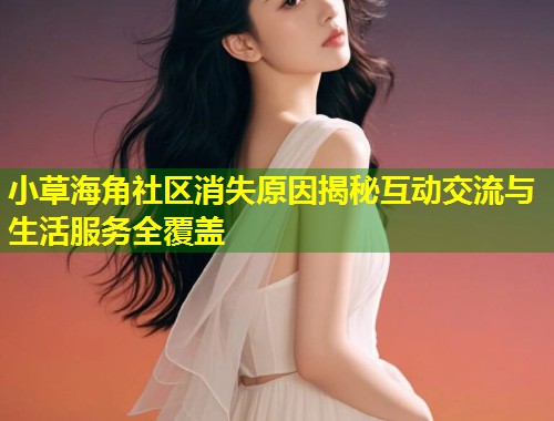 小草海角社区消失原因揭秘互动交流与生活服务全覆盖  第2张