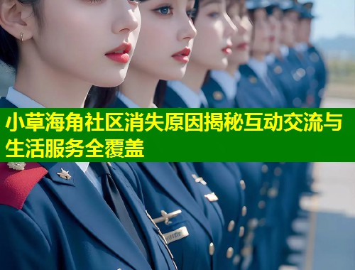 小草海角社区消失原因揭秘互动交流与生活服务全覆盖