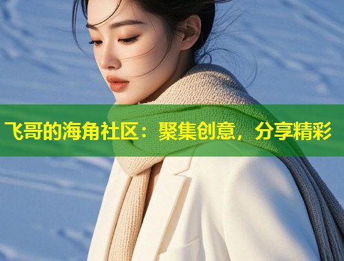 飞哥的海角社区：聚集创意，分享精彩